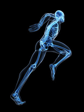 Skeleton stepping image